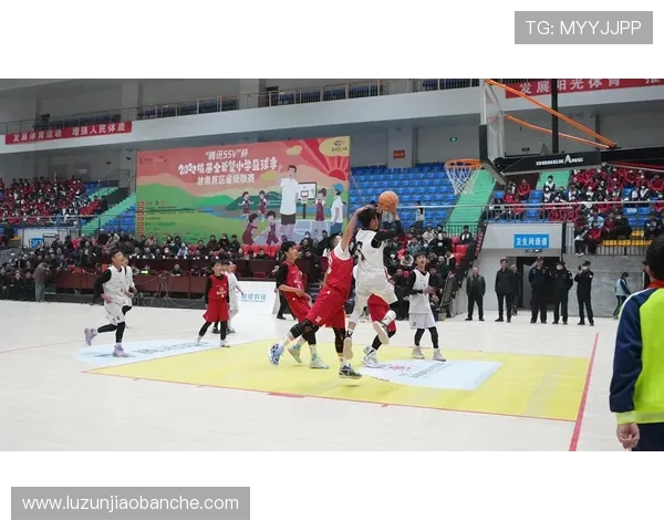 篮球点燃青春梦想凝聚团队力量谱写拼搏与荣耀新篇章