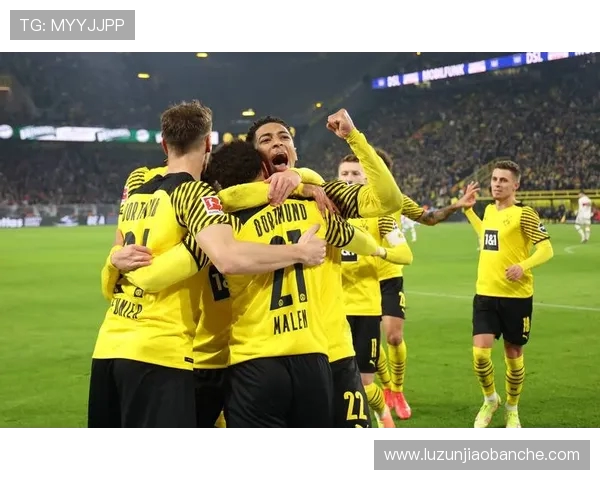 多特蒙德足球俱乐部的发展历程与未来前景分析