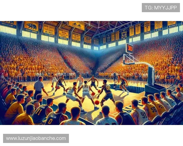 对话赵伟:回顾足球生涯的辉煌与挑战与未来展望 对话赵伟:回顾足球生涯的辉煌与挑战与未来展望