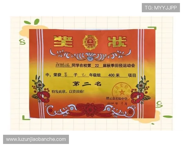 深圳排球队的拼搏之路：城市联赛背后的奋斗故事与荣耀时刻