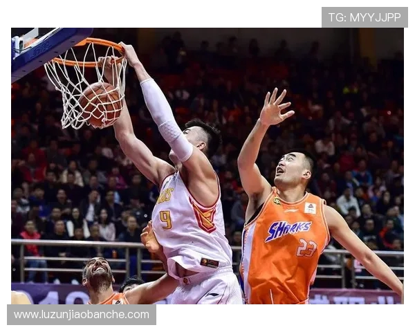 深圳极限运动队在攀岩联赛中以67分稳居积分榜首位